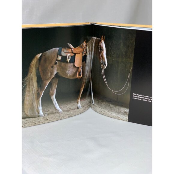 Horses In Living Color Hardcover Book By Barbara D. Livingston Coffee Table - Picture 4 of 5
